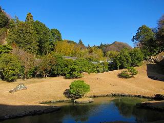 20110109-019.jpg