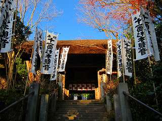 20110109-030.jpg
