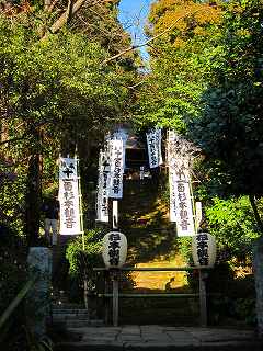20110109-028.jpg