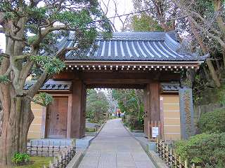 20110109-032.jpg