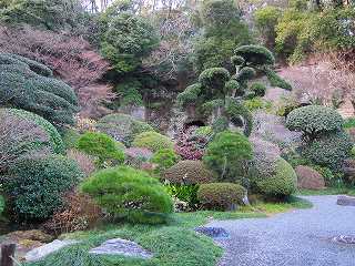 20110109-039.jpg
