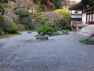 20110109-040.jpg