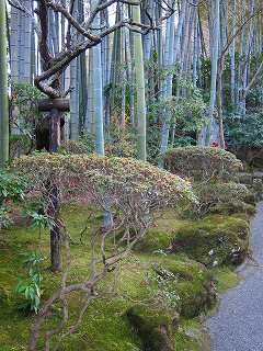 20110109-035.jpg