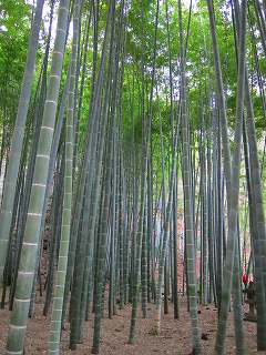 20110109-036.jpg