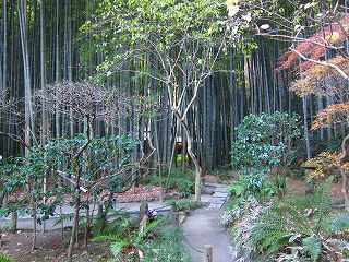 20110109-038.jpg
