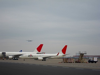20110220-029.jpg