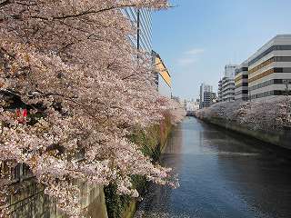 20110410-044.jpg