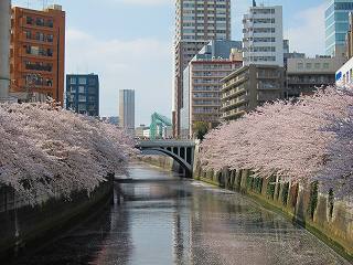 20110410-046.jpg