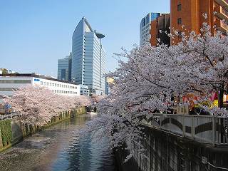 20110410-053.jpg