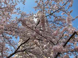 20110410-055.jpg