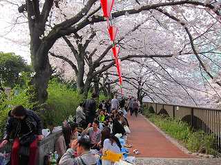 20110410-060.jpg