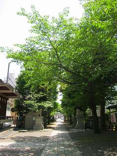20110514-007.jpg