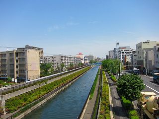 20110514-010.jpg