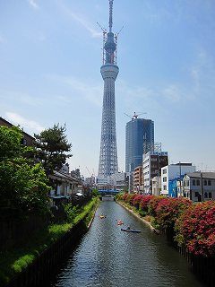 20110514-016.jpg