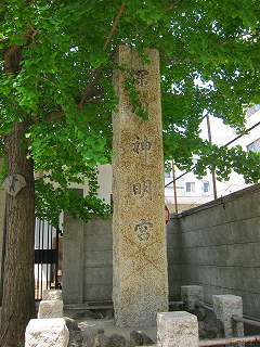 20110521-018.jpg