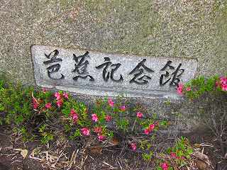 20110521-020.jpg