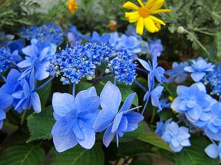 20110521-042.jpg