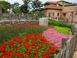 20110610-010.jpg