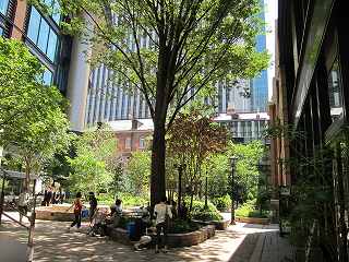 20110710-005.jpg