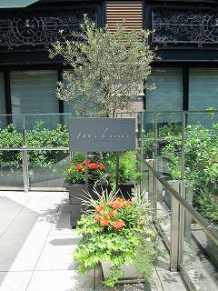 20110710-007.jpg