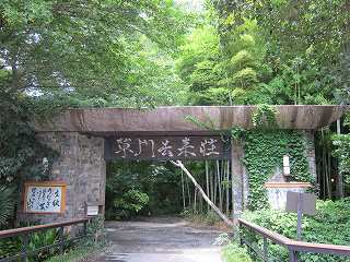 20110806-001.jpg