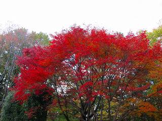 20111120-006.jpg