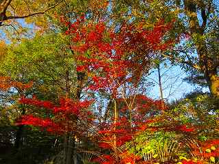 20111120-013.jpg