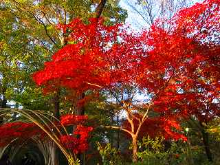 20111120-017.jpg