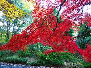 20111120-022.jpg
