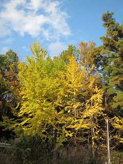 20111120-001.jpg