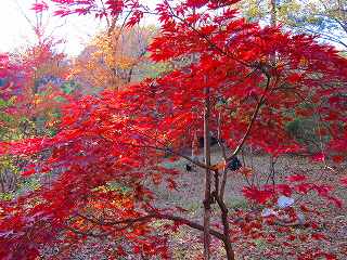 20111120-016.jpg
