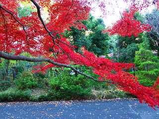 20111120-021.jpg