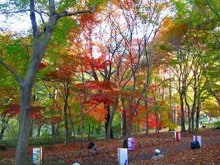 20111120-023.jpg