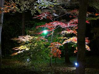 20111120-025.jpg