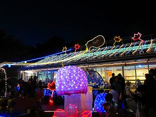 20111120-024.jpg