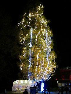 20111120-037.jpg