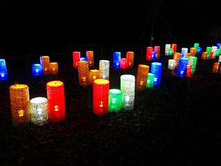 20111120-032.jpg
