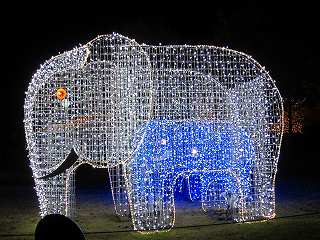 20111120-038.jpg