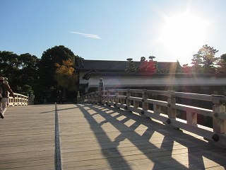 20111210-033.jpg