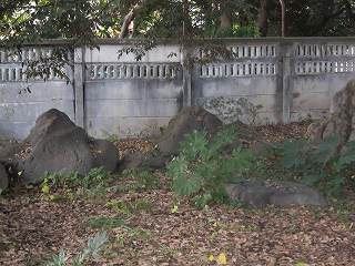 20111210-046.jpg