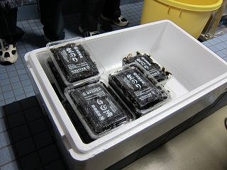 20111223-014.jpg