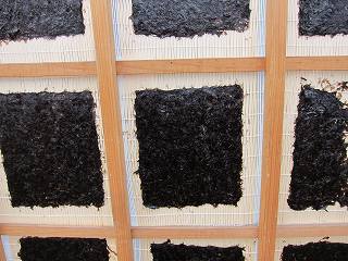 20111223-040.jpg