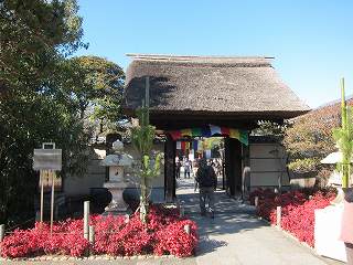 20120107-008.jpg