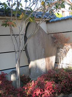 20120107-009.jpg