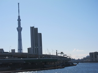 20120107-020.jpg