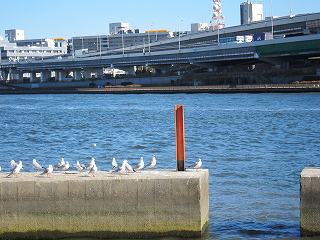 20120107-021.jpg