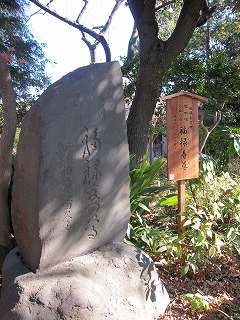 20120107-041.jpg