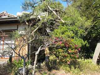 20120107-036.jpg
