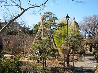 20120107-039.jpg