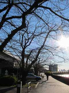 20120107-060.jpg